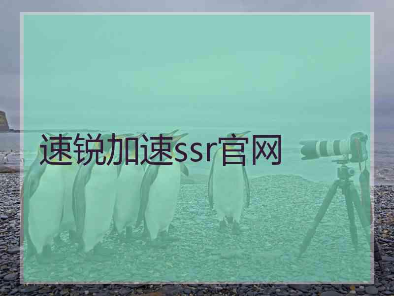 速锐加速ssr官网