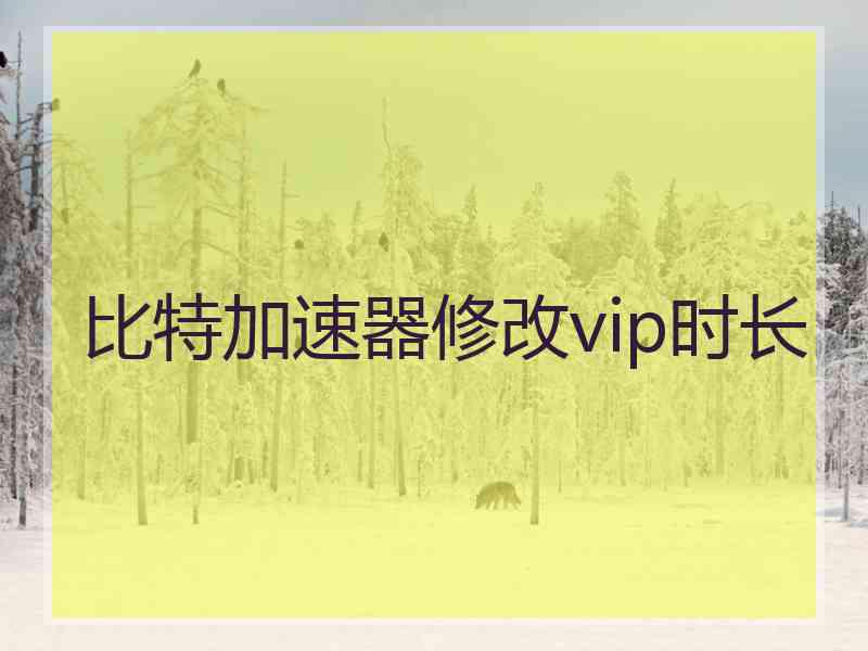 比特加速器修改vip时长